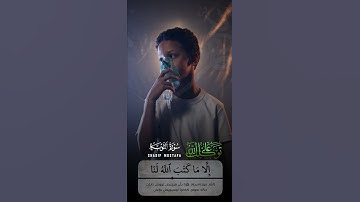 قُل لَّن يُصِيبَنَآ إِلَّا مَا كَتَبَ ٱللَّهُ لَنَا القارئ شريف مصطفي حالات واتس اب قران ❤️🥰