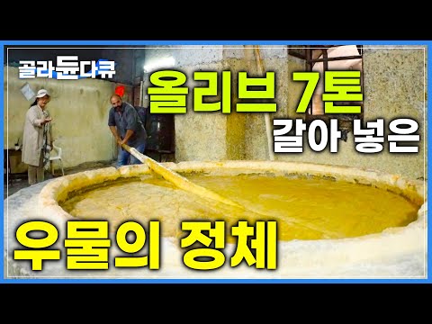 올리브로 유명한 나블루스에서 찾은 올리브향 가득한 거대 우물 | 오랜 전통 방식을 이어온 올리브 비누 공장 | 세계테마기행 | #골라듄다큐