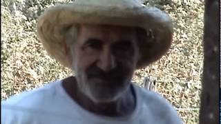 La Pastora, Polcas paraguayas en vivo y al natural ("Bio")