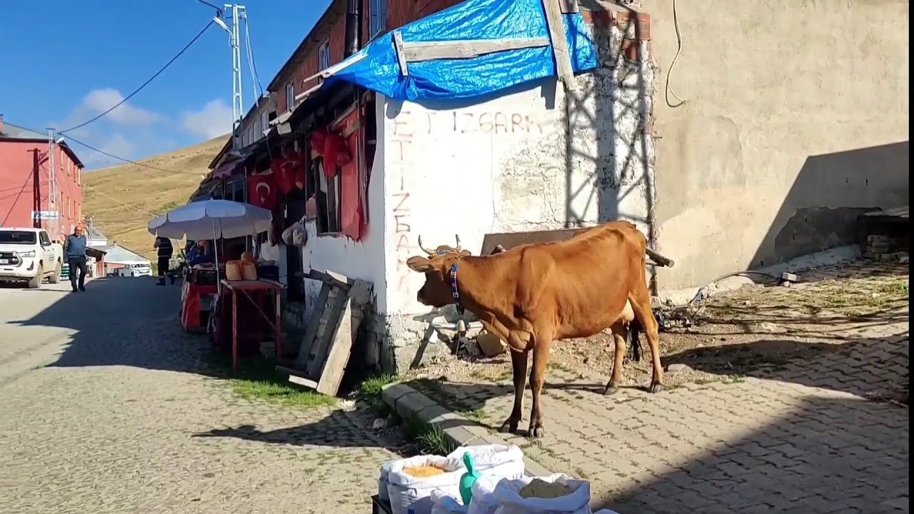 KÜRTÜN KAZIKBELİ YAYLASINI GEZDİK