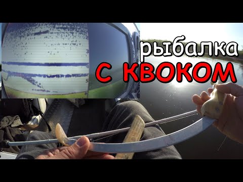 рыбалка на сома