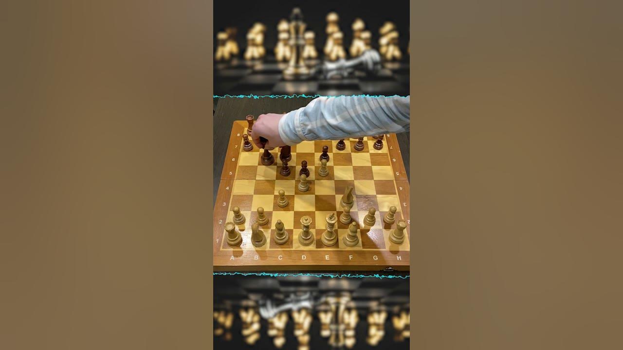 Музей шахмат шахматы Мао