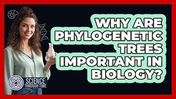 Why Are Phylogenetic Trees Important in Biology?