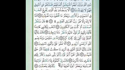 سورة النمل الاية 22/24