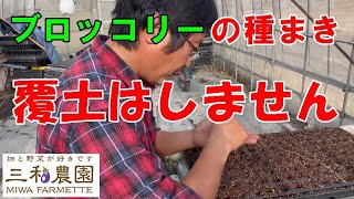 この時期に撒ける種「ブロッコリー」NO590（2023.1.19）