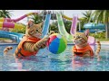 A mama Cat enjoying with baby cat 