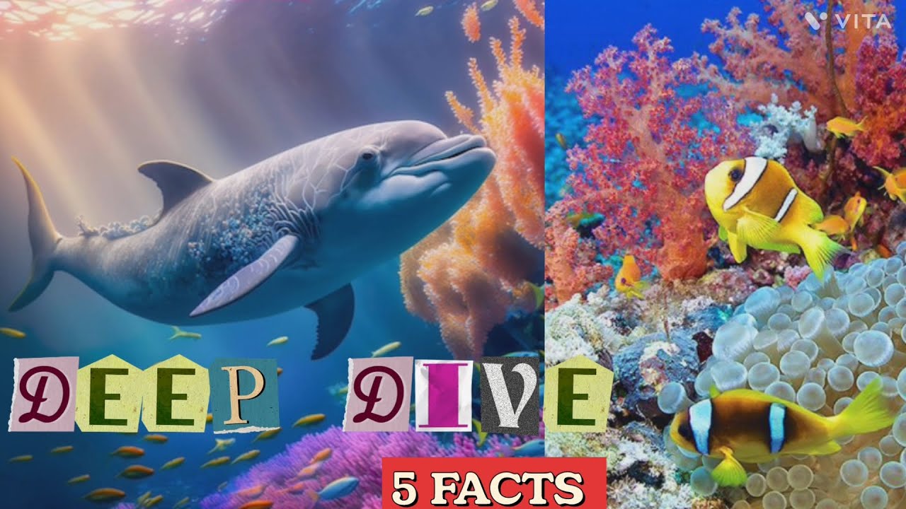 Dive Deep_ Top 5 Fascinating Facts about water animals.  2024