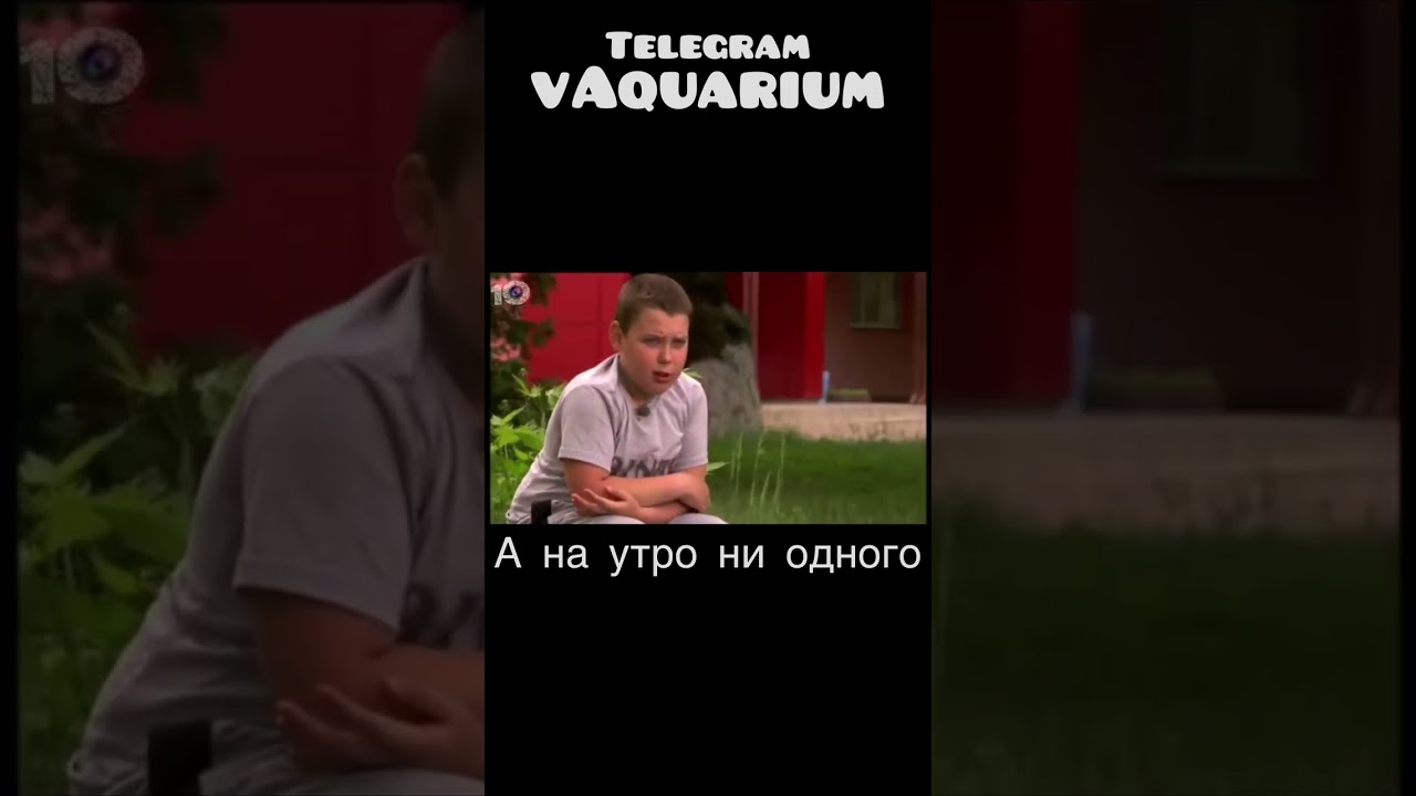 Радужницы Боэсмана аквариумные рыбки доставка