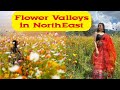 Must visit places in northeast india  beautiful flower valleys