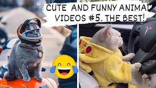 CUTE AND FUNNY ANIMAL VIDEOS #5. THE BEST!😉😃💪
