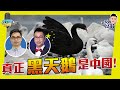 中港股不再值得長線投資? 【我要做訪問 | #股壇劉玄德 #黃國英】#港股 #Delta #黑天鵝