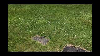 The Grave of Dr. Jack Kevorkian