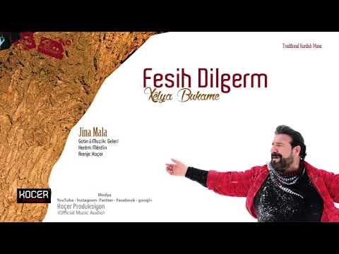 Fesih Dilgerm - Jina Mala (Official Music Audio)