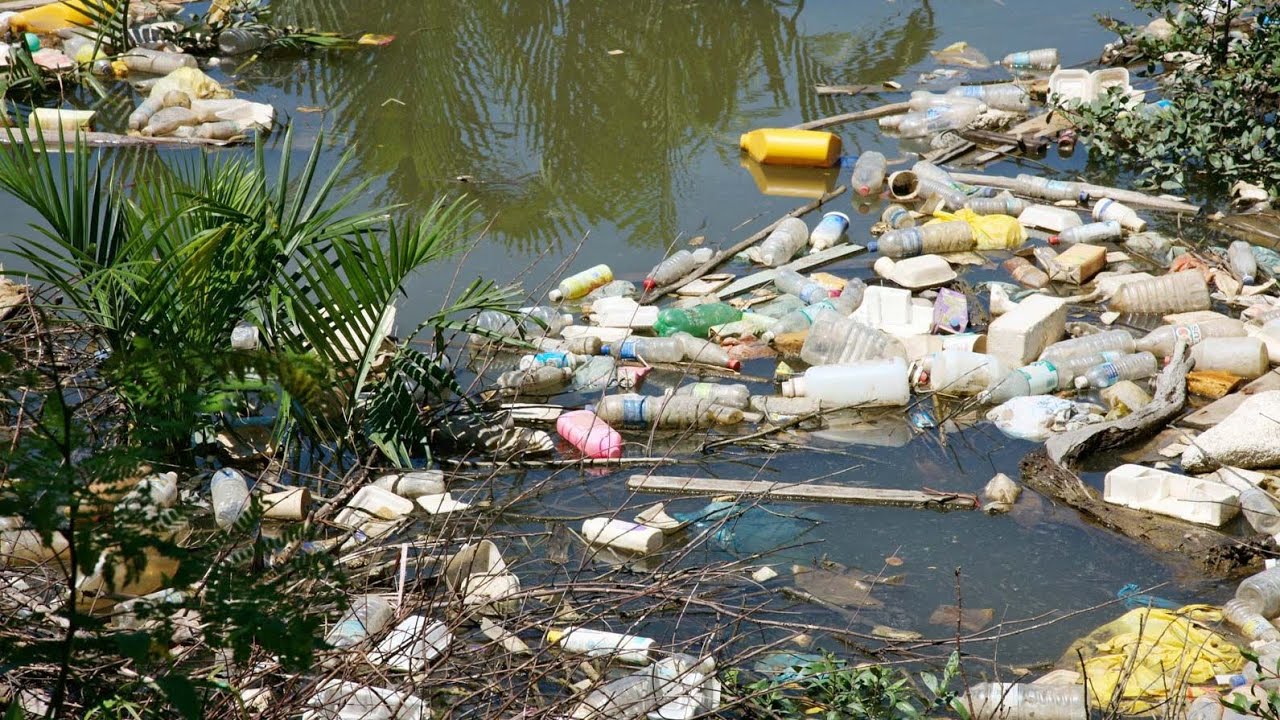 The World's Leading Environment Problems : Water Pollution