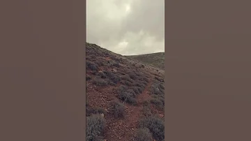 عزيز داداس لا طير يطير ولا وحش يسير 