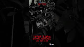 Kengerian Hutan Pesugihan, Dea Alexa Dan Erick Piere Coba Komunikasi Dengan Penunggu