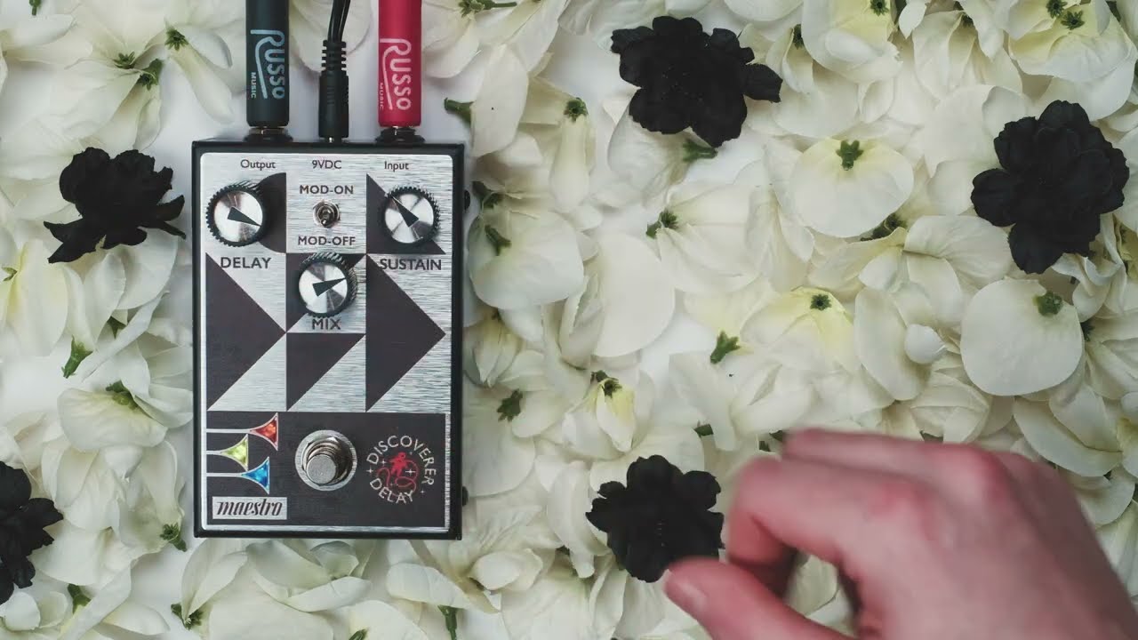 【入学&卒業特価】Discoverer Delay ギターエフェクター Maestro Discoverer Delay Effects Pedal
