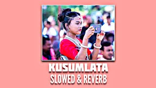 Rajbanshi song - KUSUMLATA - SLOWED & REVERB (KKRSD)