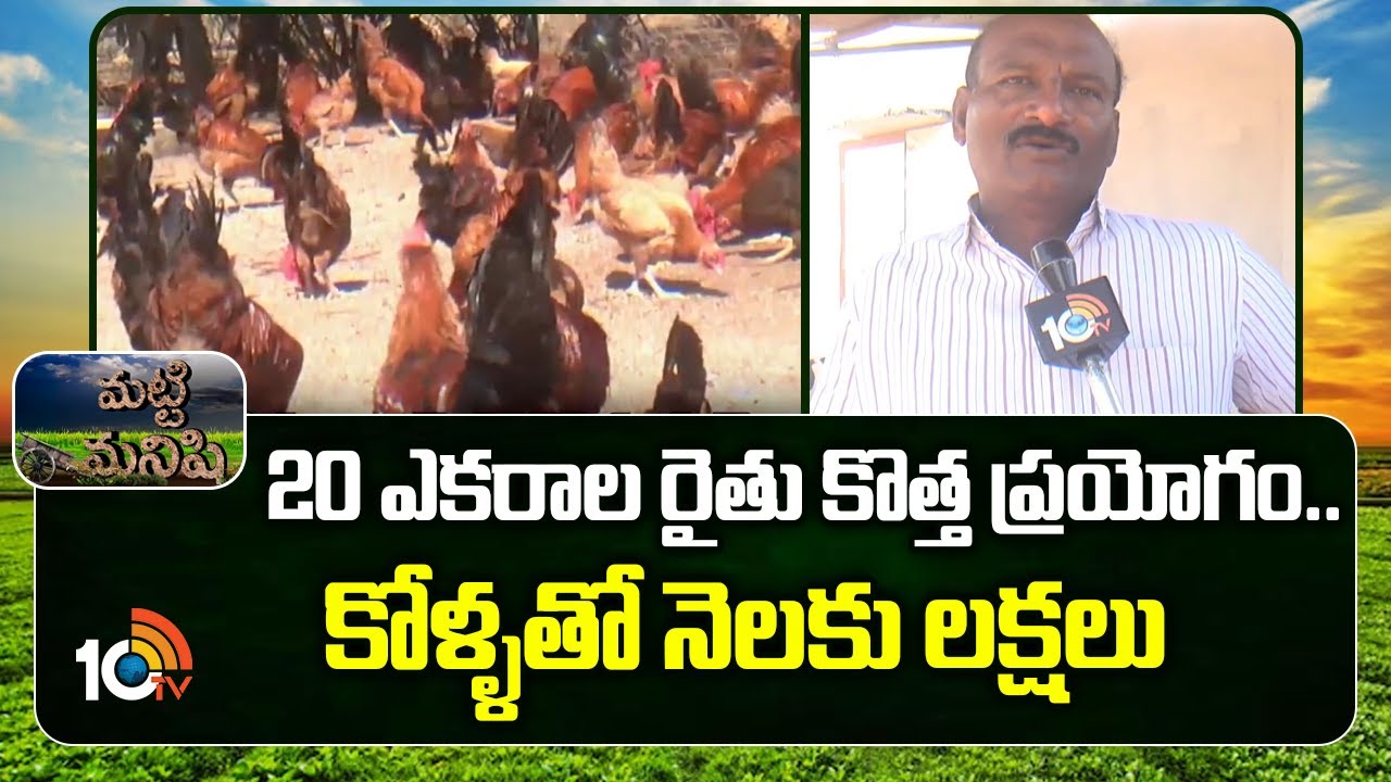 20 ఎకరాల రైతు కొత్త ప్రయోగం..కోళ్ళతో నెలకు లక్షలు| Innovative Poultry Farming | Farmer Success Story