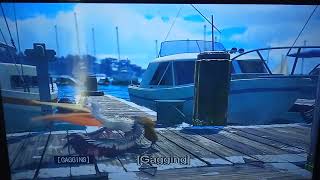 Finding Nemo Pelicans