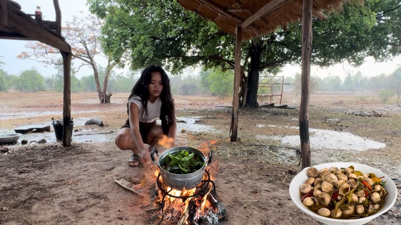 แกงเห็ดเผาะฝ้ายท่ามกลางสายฝนตกลงมาอย่างหนัก🌧️ 🇱🇦ແກງເຫັດເຜາະຝ້າຍຕາກຝົນ