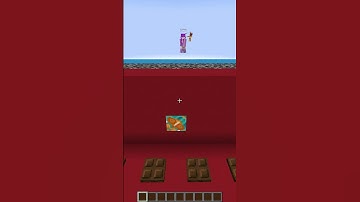 Minecraft GUESS THE BLOCK!