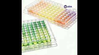 Step-by-Step Co-culture Assay Using Transwell Inserts