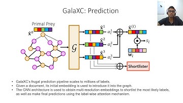 GalaXC:  Graph Neural Networks with Labelwise Attention for Extreme Classification