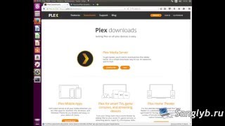 Как установить медиасервер Plex и добавить к нему аддон Kinopoisk на Ubuntu Как установить медиасервер Plex и добавить к нему аддон Kinopoisk на Ubuntu