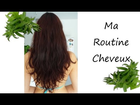 Beaute Au Naturel Ma Routine Cheveux Gras Et Pointes Seches Youtube