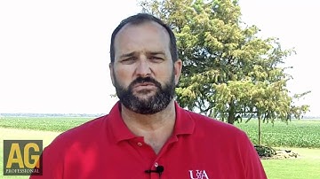 Arkansas learns Palmer amaranth control