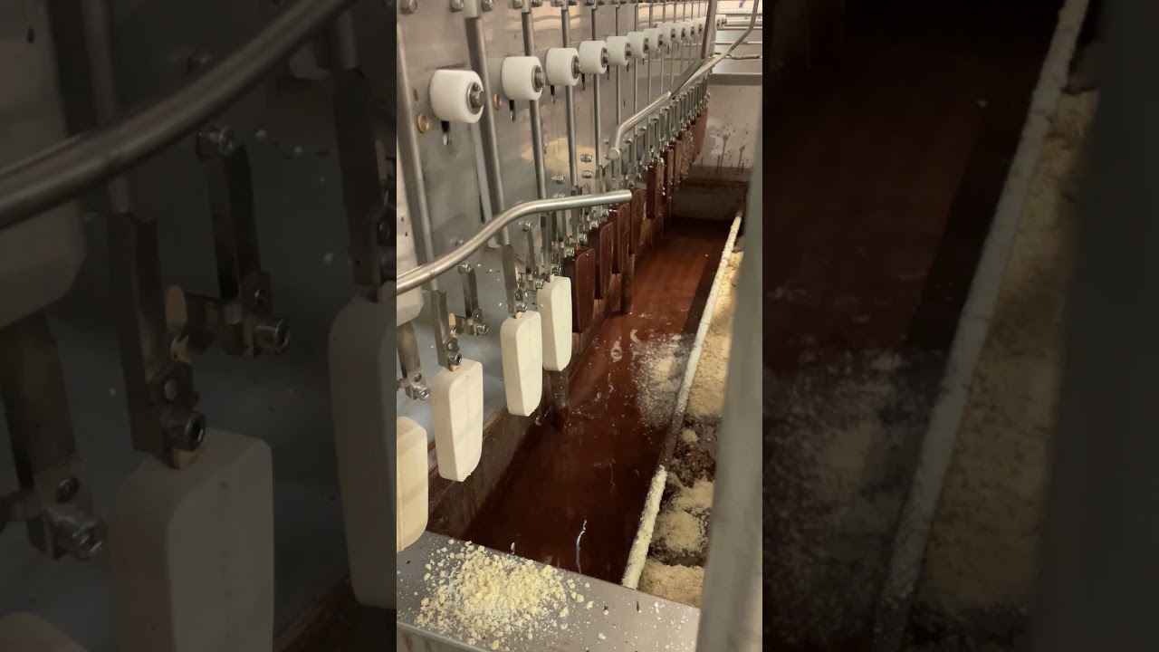 Rawito Organic Ice Cream Factory