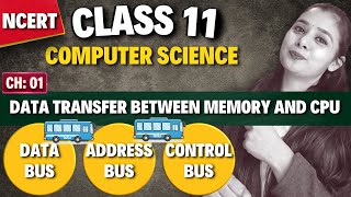 Data Bus, Address Bus, Control Bus | Data Transfer Between Memory and CPU | Class 11 CS Profile
