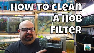 How to Clean a Hang on Back Filter