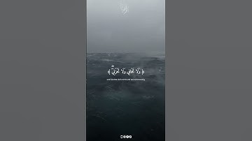 وَأَوْحَيْنَا إِلَىٰ أُمِّ مُوسَىٰ، سورة القصص بصوت القارئ ياسر الدوسري سبحان الله وبحمده #قران #