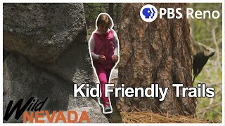 A Kid Friendly Trail | Wild Nevada