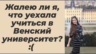 + и - учебы в Венском университете. Транскультурные коммуникации. Арина Корчкова. Учеба в Европе.