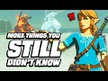 33 MORE Things You STILL Didn't Know In Zelda Breath Of The Wild