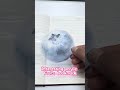 Some interesting fruits bookmark that made in acrylic. #acrylicbookmark