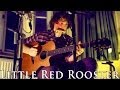 Dan Owen - Little Red Rooster (Live)