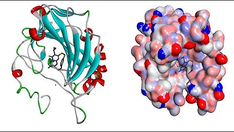Learn Molecular Docking Easily using PyRx Virtual Screening Tool #Part 2