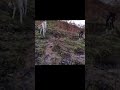 Hare (rabbit 🐇) hunting adventure #rabbit#hunting#adventure#viral#youtubeshorts#subscribe#support#