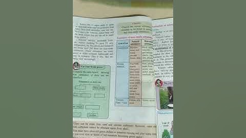 6th standard science lesson number 6 Substances in Daily use (video 2)