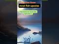 Did you know-Most Fish Species