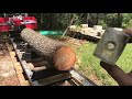 Cutting & Milling a Southern Yellow Pine Cutting & Milling a Southern Yellow Pine