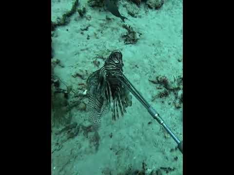 Let Me Know If You Like The New Microphone Hopefully It Cuts Down On Some Of That Wind Noise