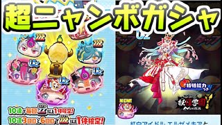 ぷにぷに 無料で回せるオールスターズ超ニャンボガシャのおすすめはこちら！　妖怪ウォッチぷにぷに　レイ太