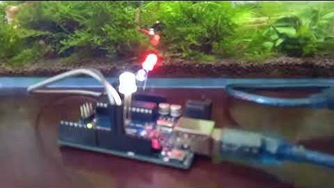 Timer arduino nháy 3 led độc lập