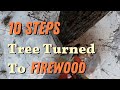 From Tree To FireWood / 10 Simple Steps 
