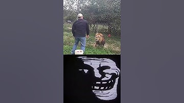 Lion Wanted Something Else 💀 - Phonk Troll Face Meme 💀 | credits: @_Z3LDR1S_  #short #fyp #viral